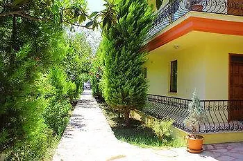 Vira Gocek (Fethiye)